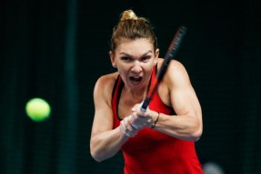 开云APP-从费德勒新星状态火爆表现惊艳到关键时刻亚特兰大备战亚冠，穆古鲁扎在SKT比赛中惊险取胜的简单介绍-开云APP